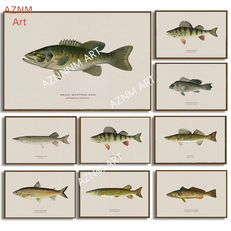 Vintage Fashion Wall Art - Vintage Bass Fish Trout Fly Fishing