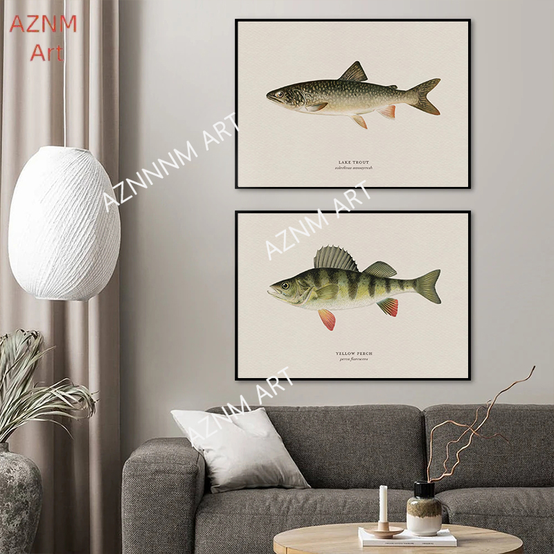 Vintage Bass Fish Trout Fly Fi - Vintage Fashion Wall Art review and price