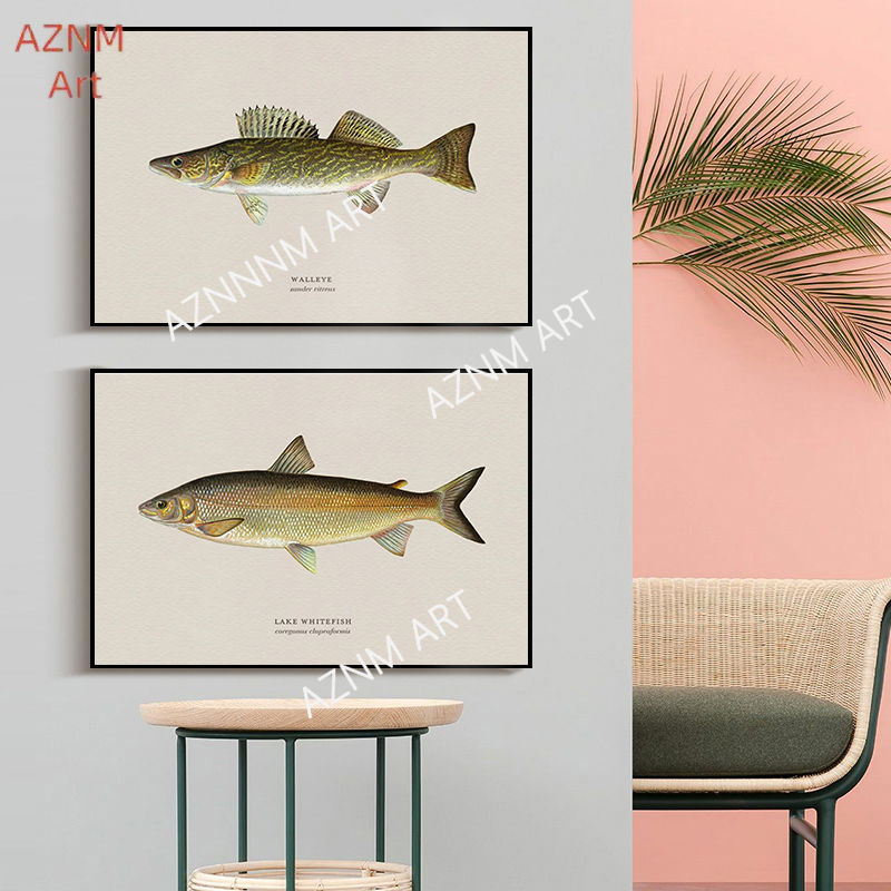 Vintage Bass Fish Trout Fly Fi - Vintage Fashion Wall Art review and price
